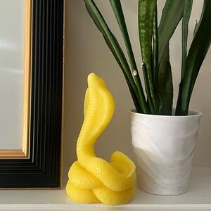 Snake candle